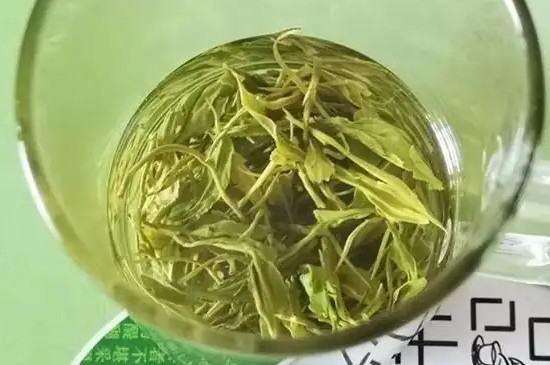 霄坑绿茶的历史由来