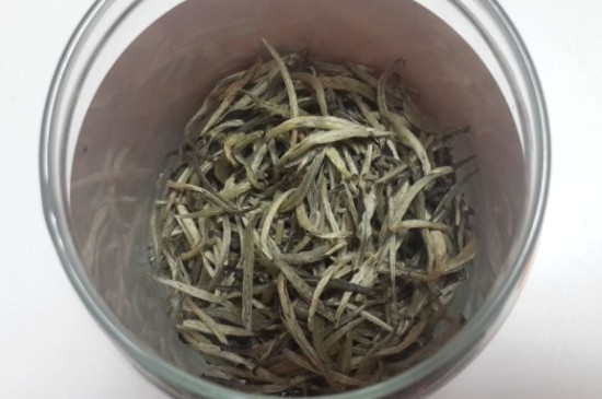 古树银芽是什么茶，银芽茶属于什么茶？