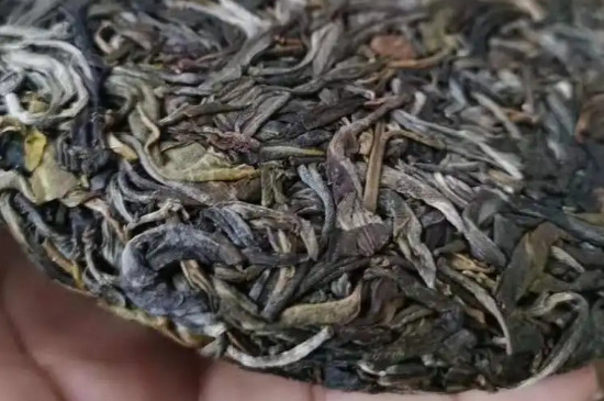 邦崴古树茶价格，邦崴古树茶多少钱一公斤？