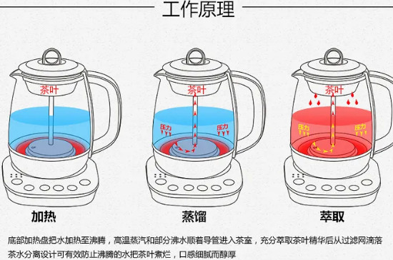 煮茶器使用步骤图解，煮茶器怎么用？