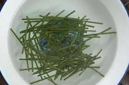 我喝松针茶的十年感受，喝松针茶的经验教训