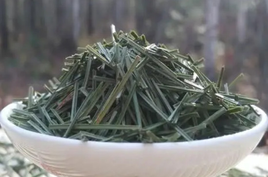 松针茶是什么品种松树，松针茶用的什么松树？