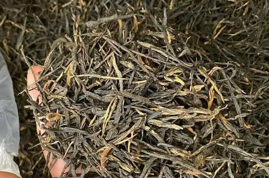 松针红茶是什么茶，云南滇红松针简介