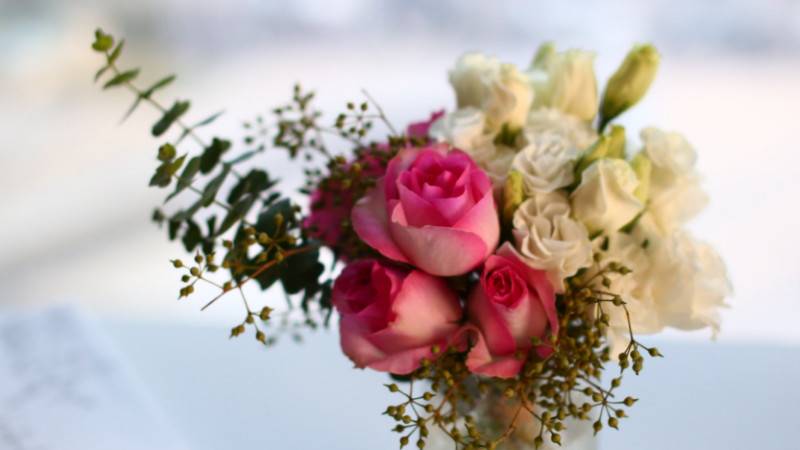 夏季如何养鲜花