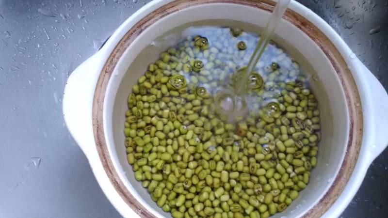 怎样发绿豆芽