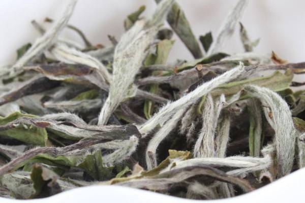 白茶是绿茶还是乌龙茶