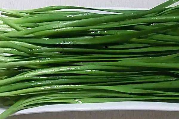 韭菜夏天可以种吗