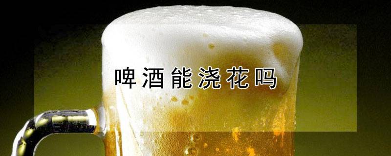 啤酒能浇花吗