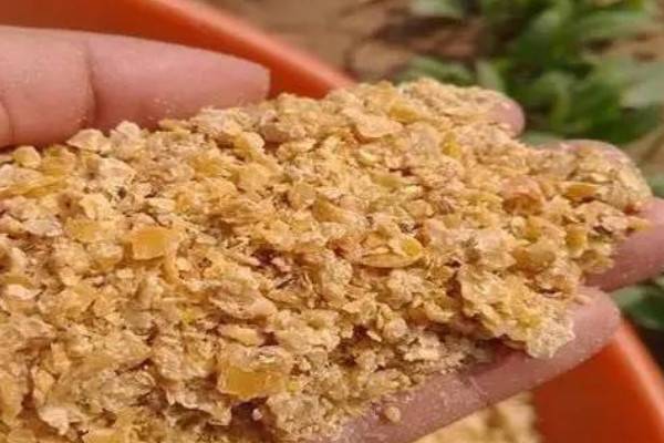 豆粕和豆饼哪个喂养好