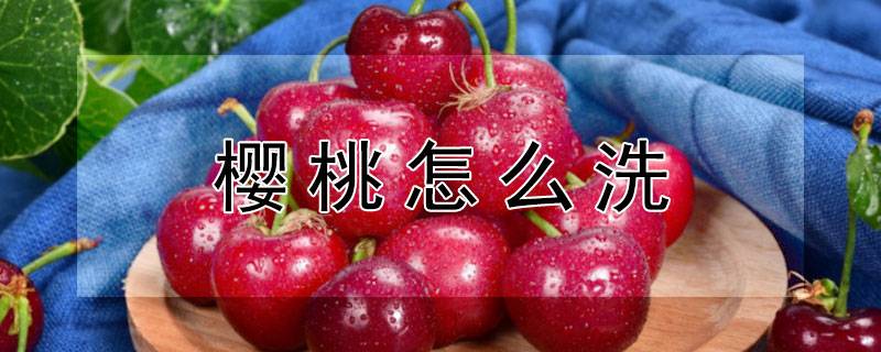 樱桃怎么洗