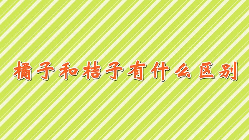 橘子和桔子有什么区别