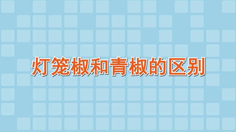 灯笼椒和青椒的区别
