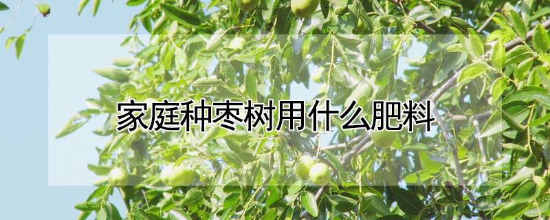 家庭种枣树用什么肥料