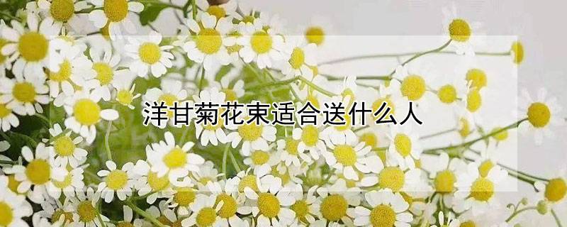 洋甘菊花束适合送什么人