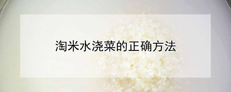 淘米水浇菜的正确方法