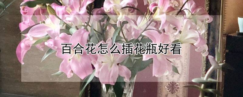 百合花怎么插花瓶好看