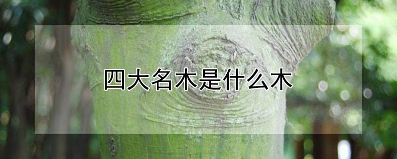 四大名木是什么木