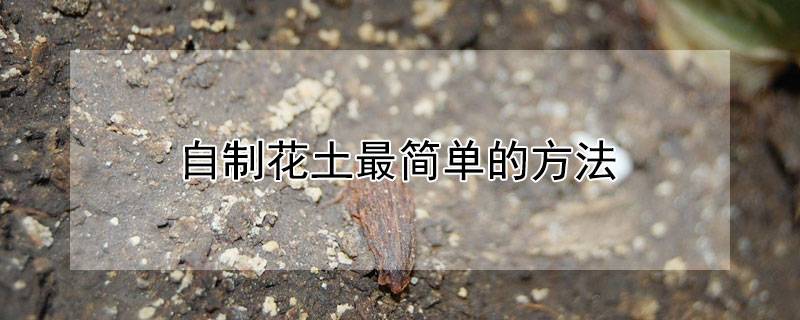 自制花土最简单的方法