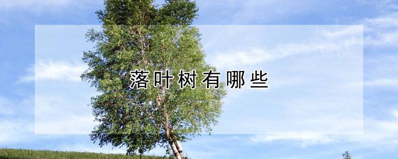 落叶树有哪些