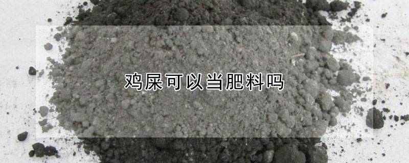 鸡屎可以当肥料吗