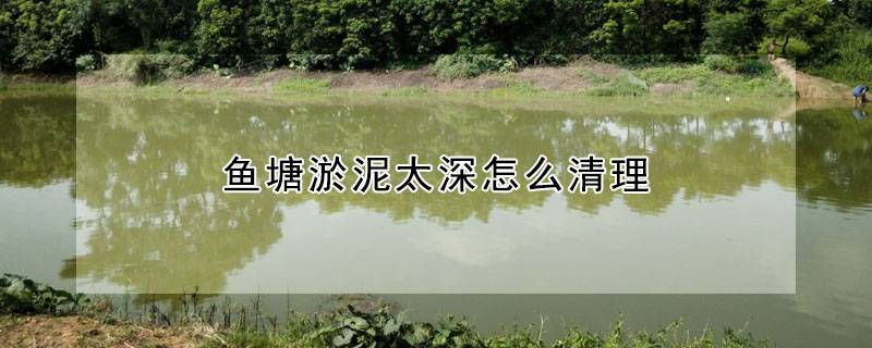 鱼塘淤泥太深怎么清理