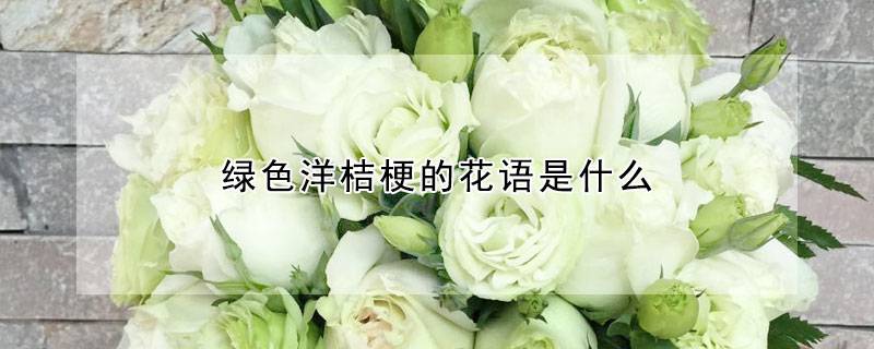 绿色洋桔梗的花语是什么