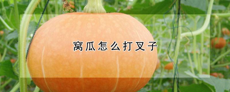 窝瓜怎么打叉子