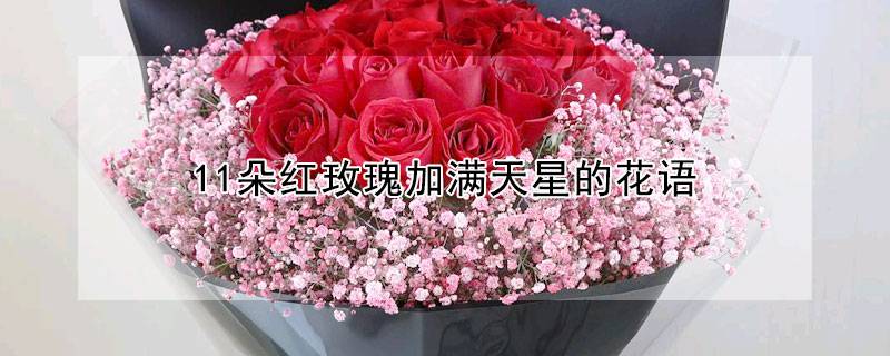 11朵红玫瑰加满天星的花语