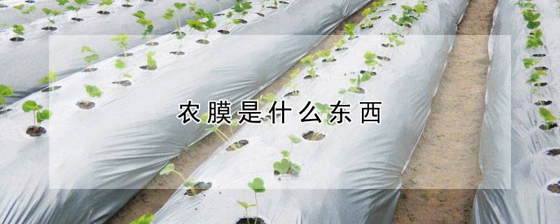 农膜是什么东西