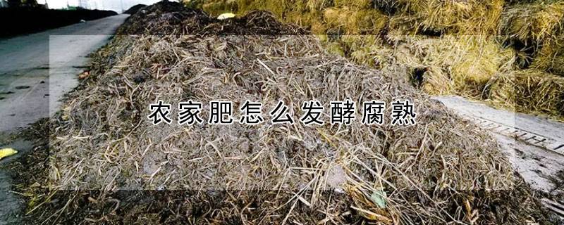 农家肥怎么发酵腐熟