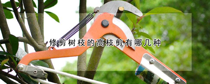 修剪树枝的高枝剪有哪几种